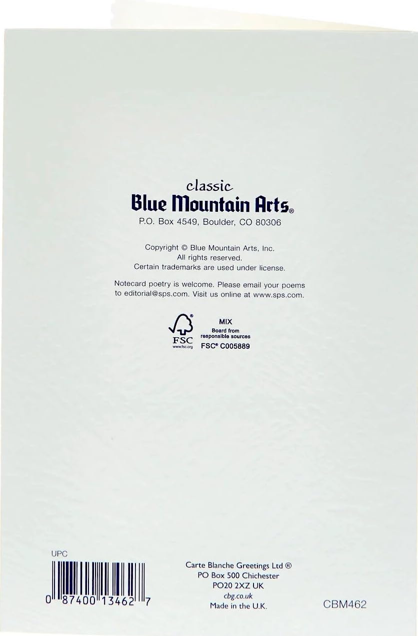 I Love You So Much Blue Mountain Arts 3-Fold Greeting Card with Heartfelt Verses