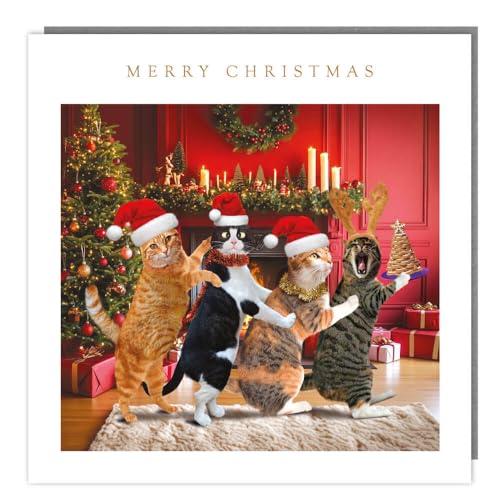 Festive Cats Conga Party - Pack of 5 Charity Christmas & Happy New Year Cards