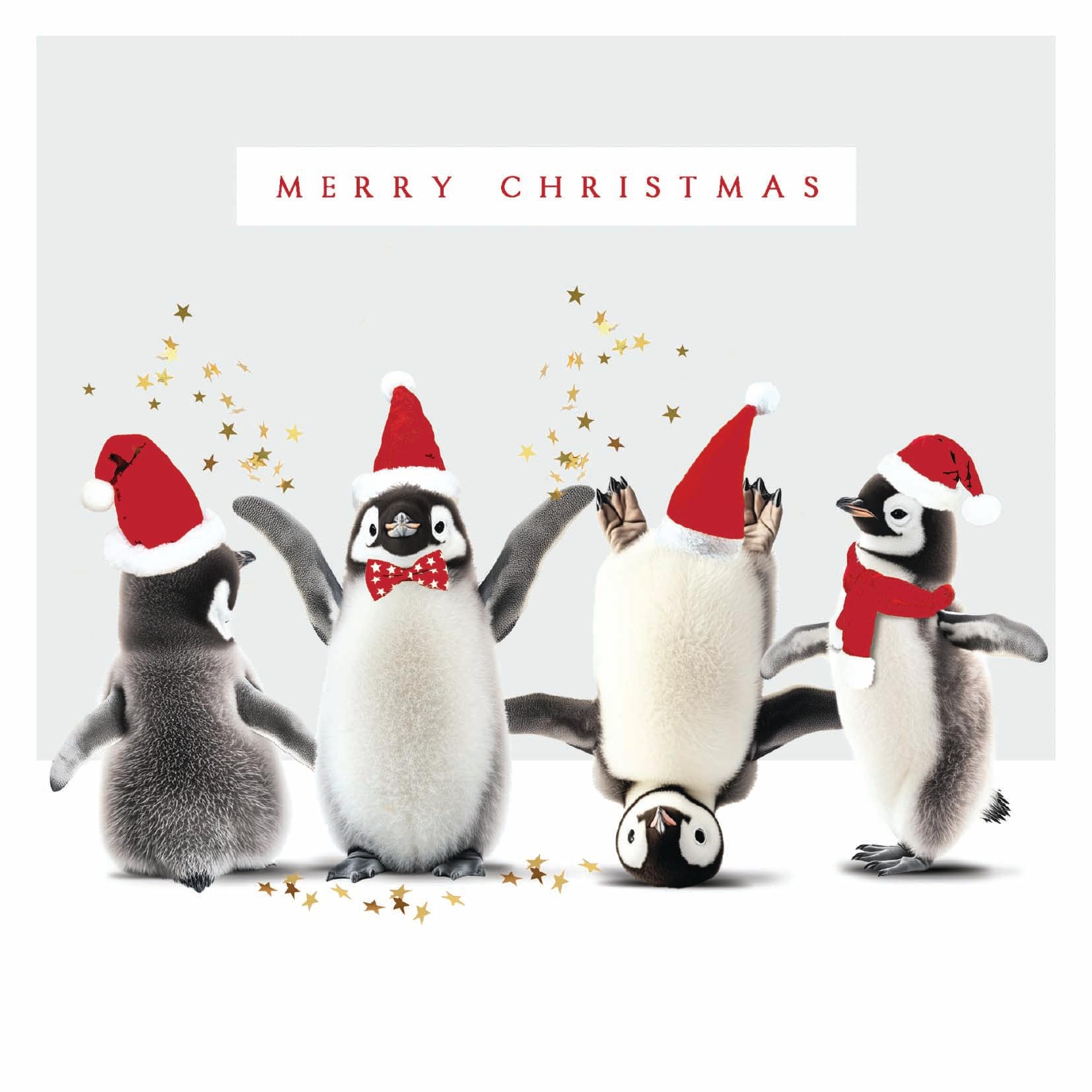 Dancing Pengiuns Party Animals - Pack of 5 Cute Festive Charity Christmas & Happy New Year Cards with Envelopes