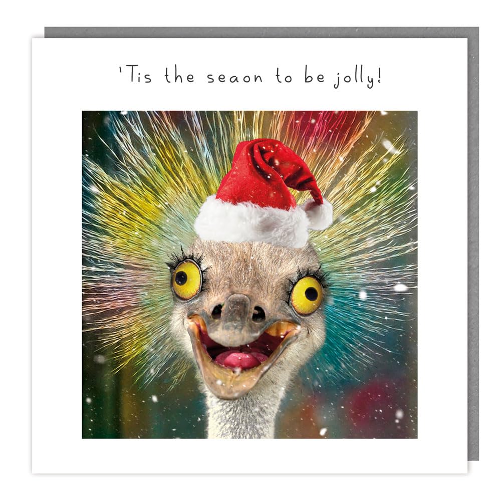 Jolly Ostrich - Festive Design 16 x 16 cm Single Christmas Card - Made in UK - Eco-Friendly with Envelope