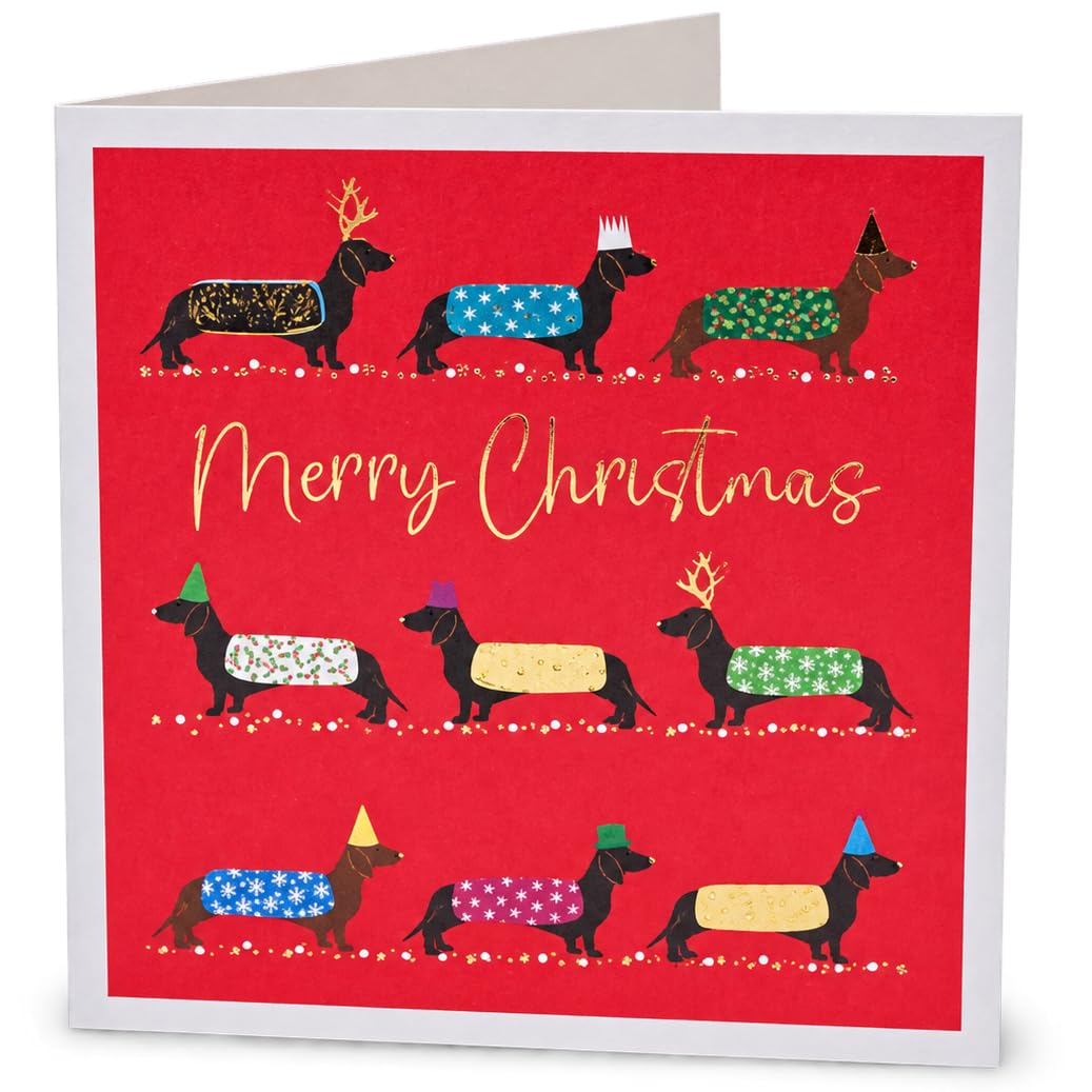 Festive Dachshund Christmas Charity Cards ? Pack of 5 by Tracks Publishing