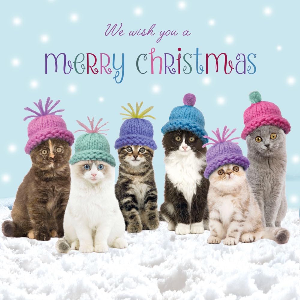 Festive Cats Wearing Woolly Hats - Glitter Finish Charity Christmas 5 Card Pack - Premium Board - Eco- Friendly