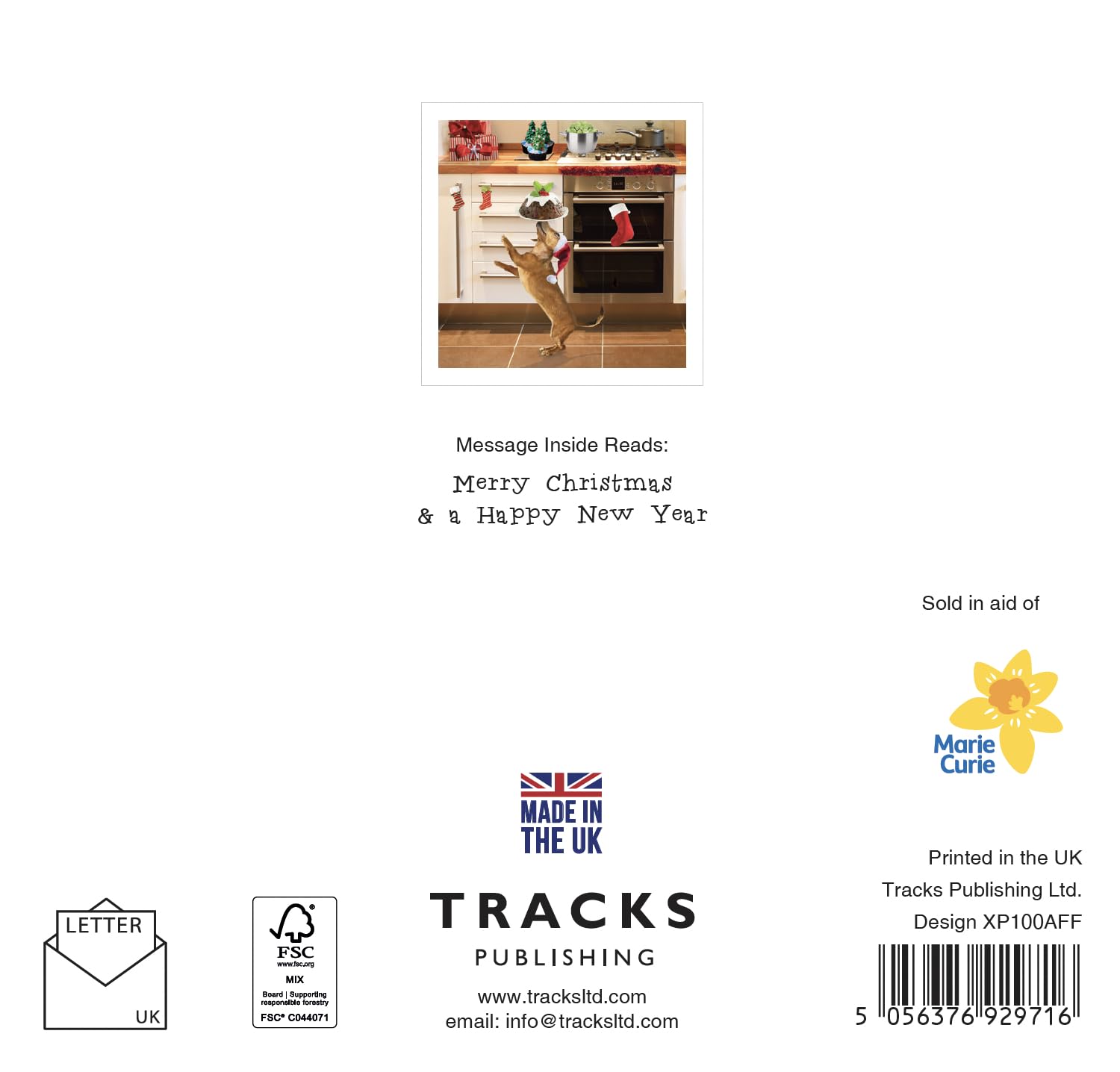 Festive Dachshund in Santa Hat Balancing Xmas Pudding 5 Charity Christmas Cards - Premium Photographic Art