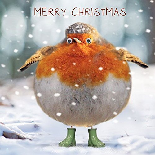 Fat Robin in Wellington Boots Cute Wobbly Goggly Eyes Fun Single Christmas Card by Tracks