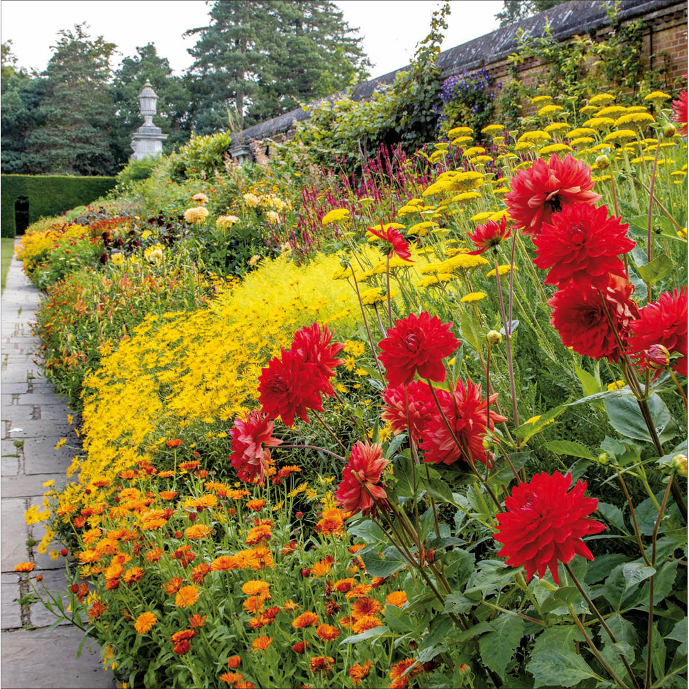 Flower Borders At Cliveden Berkshire Photo Blank Greeting Card - National Trust