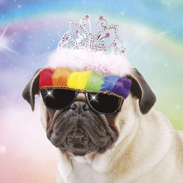 Pug in Sunglasses Greeting Card Lenticular 3D / Holographic Birthday Card