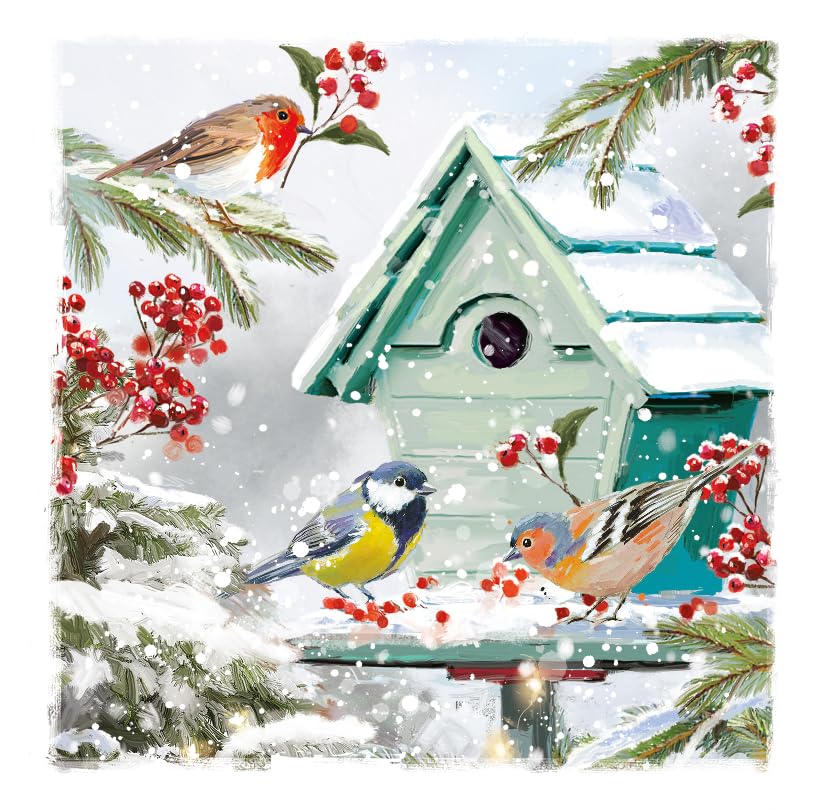 Winter Garden Birdhouse in Snow Art Charity Christmas and New Year 6 Cards Pack