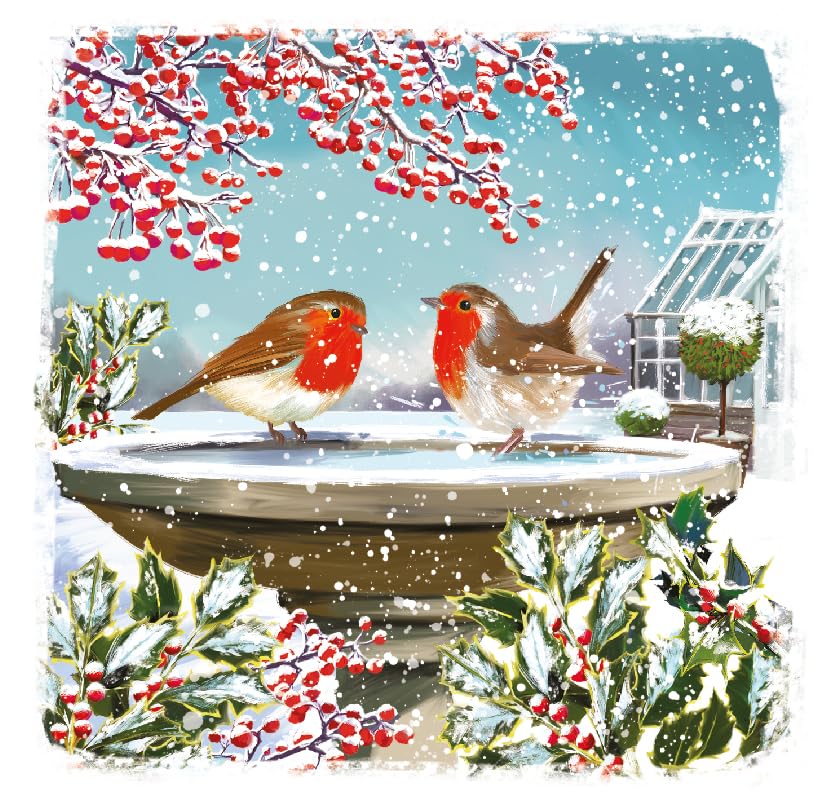 Robins in Snowy Birdbath Holly Art Charity Christmas & New Year 6 Cards Pack Eco