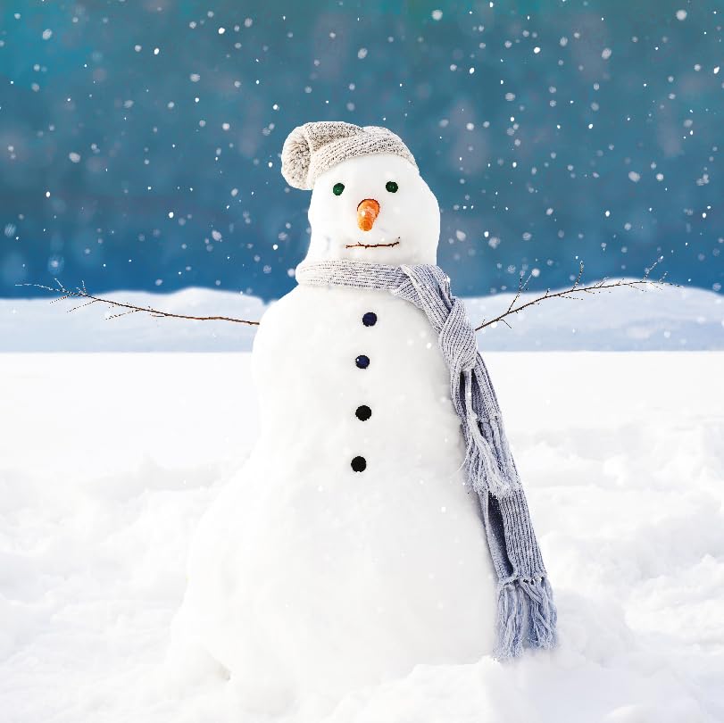Proud Snowman Winter Photographic Art Charity Christmas 6 Cards Pack Eco-Friendly