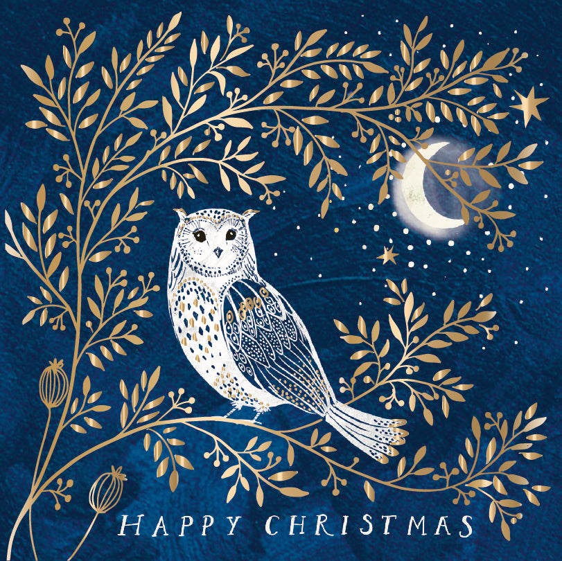 Night Owl Half Moon Festive Stunning Foil Finished Pack of 6 Charity Christmas Cards By Ling Design