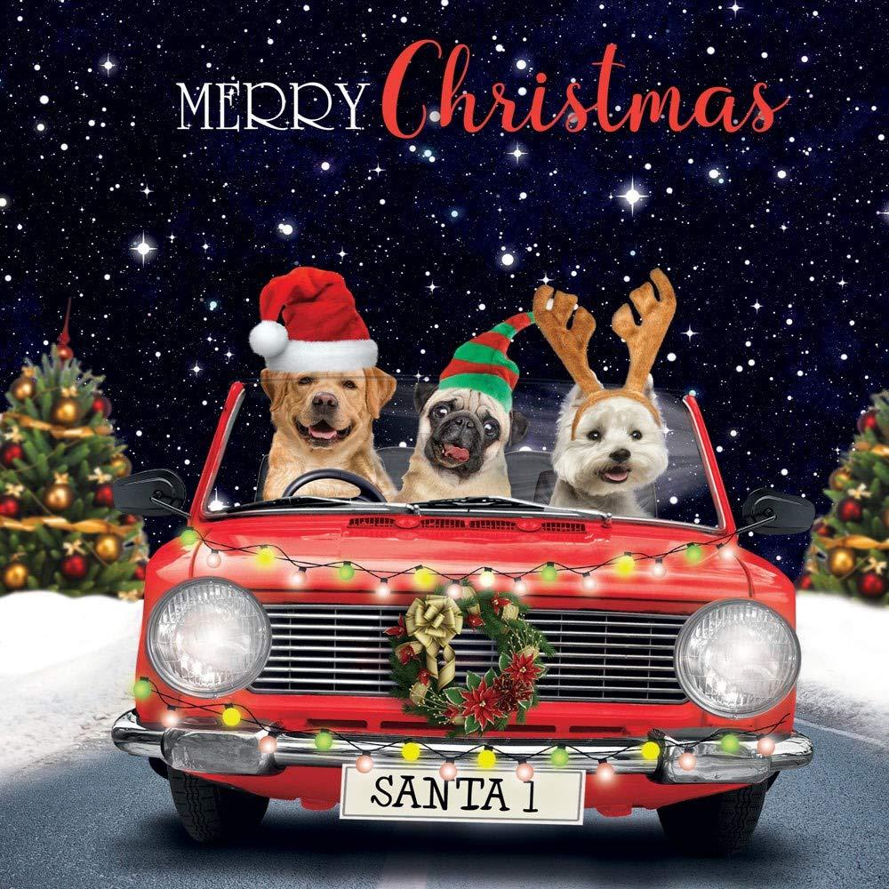 Festive Dogs Driving Home for Xmas - Premium Christmas Card 3D Lenticular/Holographic