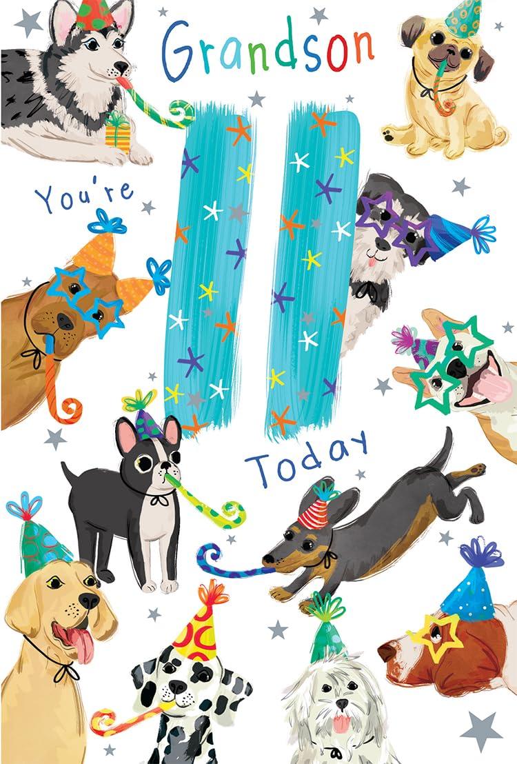 Grandson 11th Birthday Card Age 11 Puppy Dogs Party Printed Insert Lovely Verse