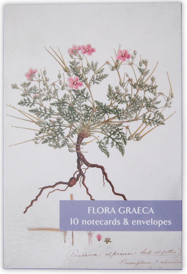 Flora Graeca Illustrations Note-let Blank Pack of 10 Cards by Fitzwilliam Museum University of Cambridge