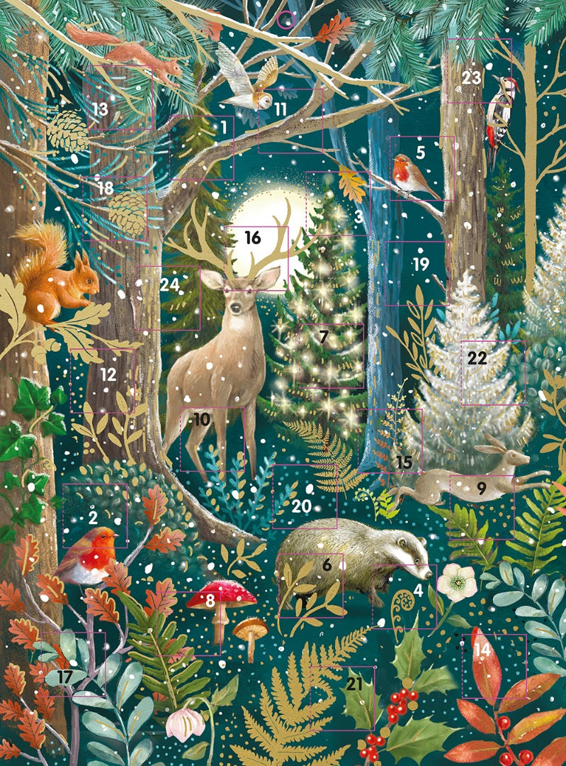 Magical Forest Scene Large Advent Calendar Gift by Ling Design Including Envelope