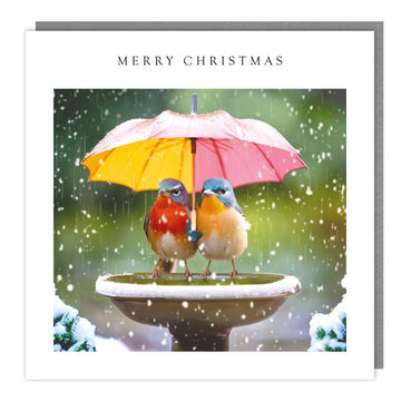 Robin Birds under Umbrella Festive Christmas Card - Made in the UK - Eco-Friendly