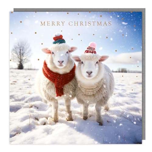 Marie Curie Charity Christmas Cards - Pack of 5 - Snowy Sheep in Hats - Festive Design - Special Finish - Made in the UK - Eco-Friendly