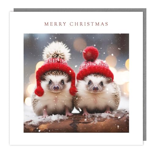 Marie Curie Charity Christmas Cards - Pack of 5 - Snowy Hedgehogs in Hats - Festive Design - Special Finish - Made in the UK - Eco-Friendly