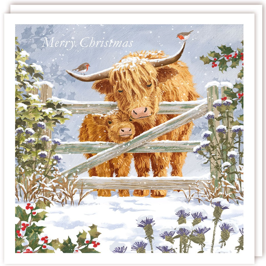 Highland Cow and Calf in the Snow - 6x6'' Charity Christmas 10 Card Pack - Eco-Friendly and Recyclable by Tracks Publishing