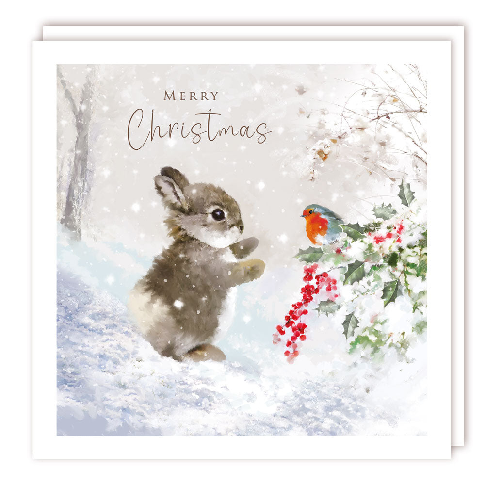 Little Bunny Rabbit and Robin in the Snow Premium Charity Christmas Cards 5 Pack