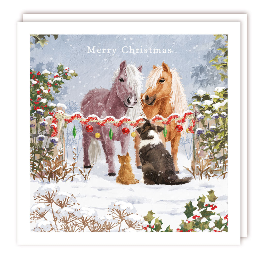 Ponies Meeting Pets In The Snow Premium Charity Christmas & New Year Cards 5 Pack