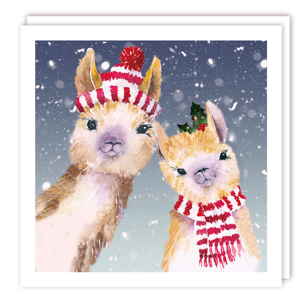 Inquisitive Llamas in Snow Art Premium Charity Christmas & New Year Cards 5 Pack