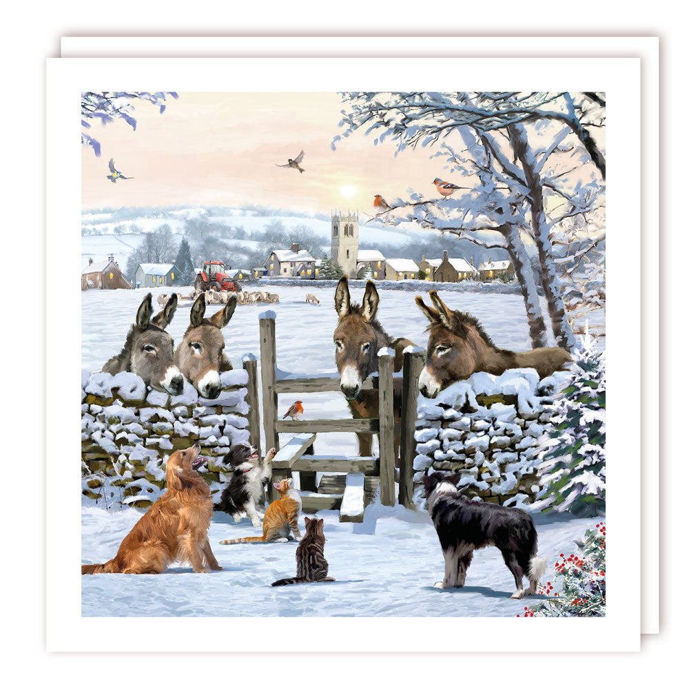 Donkeys Dogs Cats in the Snow Premium Charity Christmas & New Year Cards 5 Pack