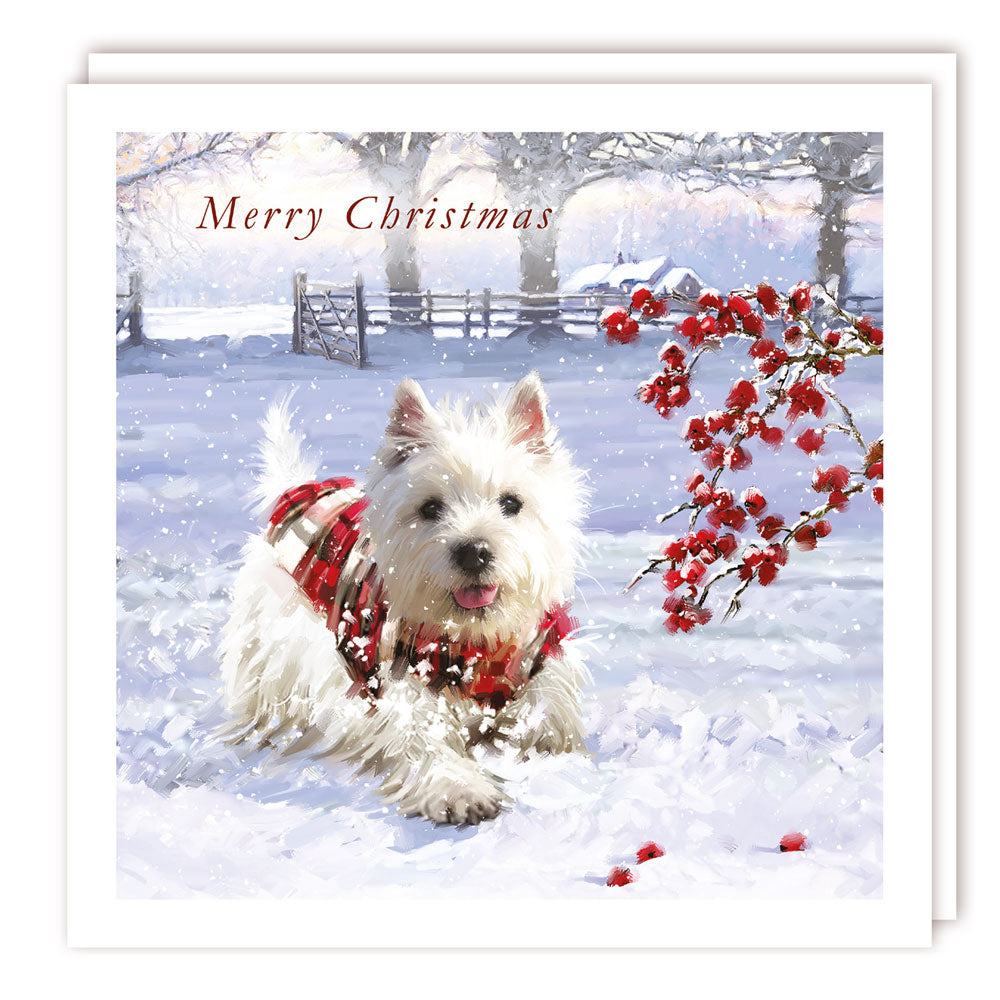 Westie Dog in Snow Berries Premium Charity Christmas and New Year Cards 5 Pack