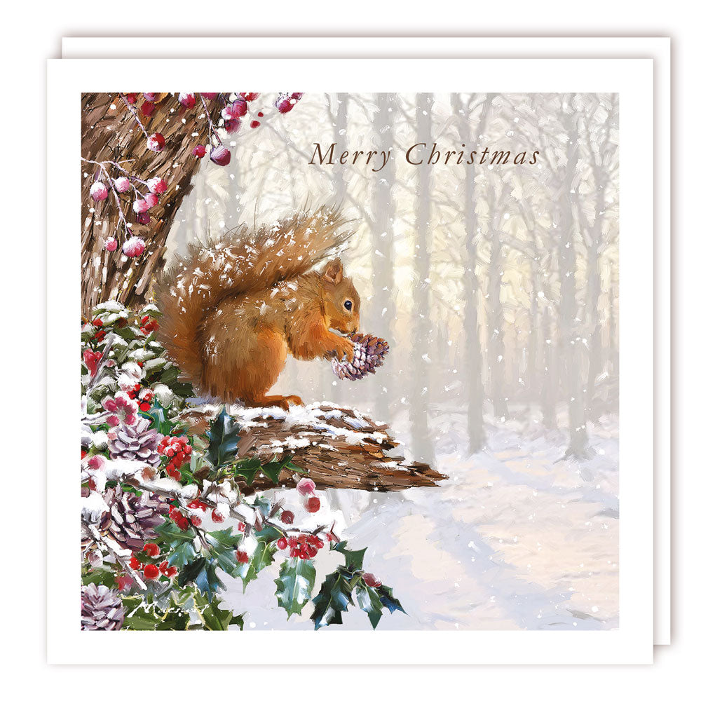 Squirrel & Pinecone in Snowy Forest Art Charity Christmas & New Year Cards 5 Pack