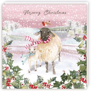 Sheep & Lamb with Robin Art Premium Charity Christmas & New Year Cards 5 Pack