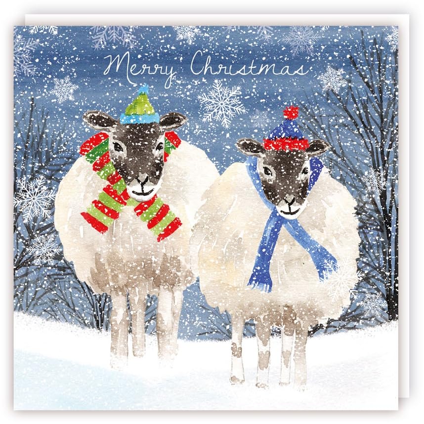 Two Sheep in Wooly Scarf Hat Premium Charity Christmas & New Year Cards 5 Pack