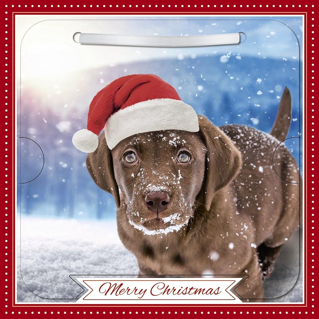 3D Lenticular Photographic Art Festive Pets Holographic Effect Christmas Card