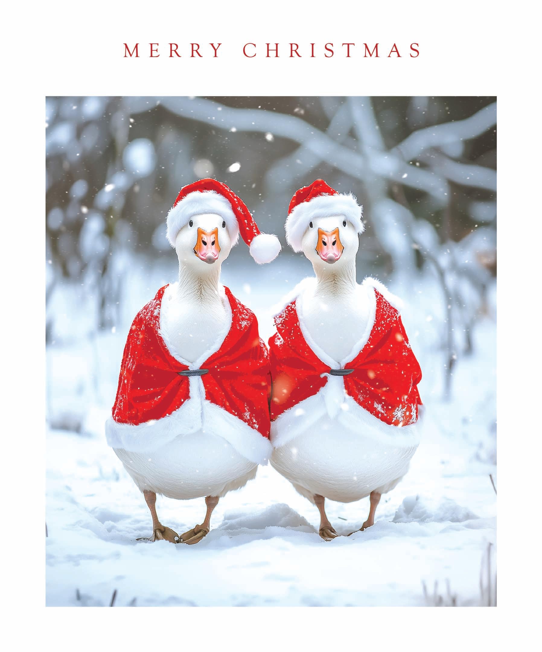 Festive Cute Animals Photographic Art Christmas & New Year Single Greeting Card - 185 x 155mm (7.2 x 6in) - Eco-Friendly & Recyclable