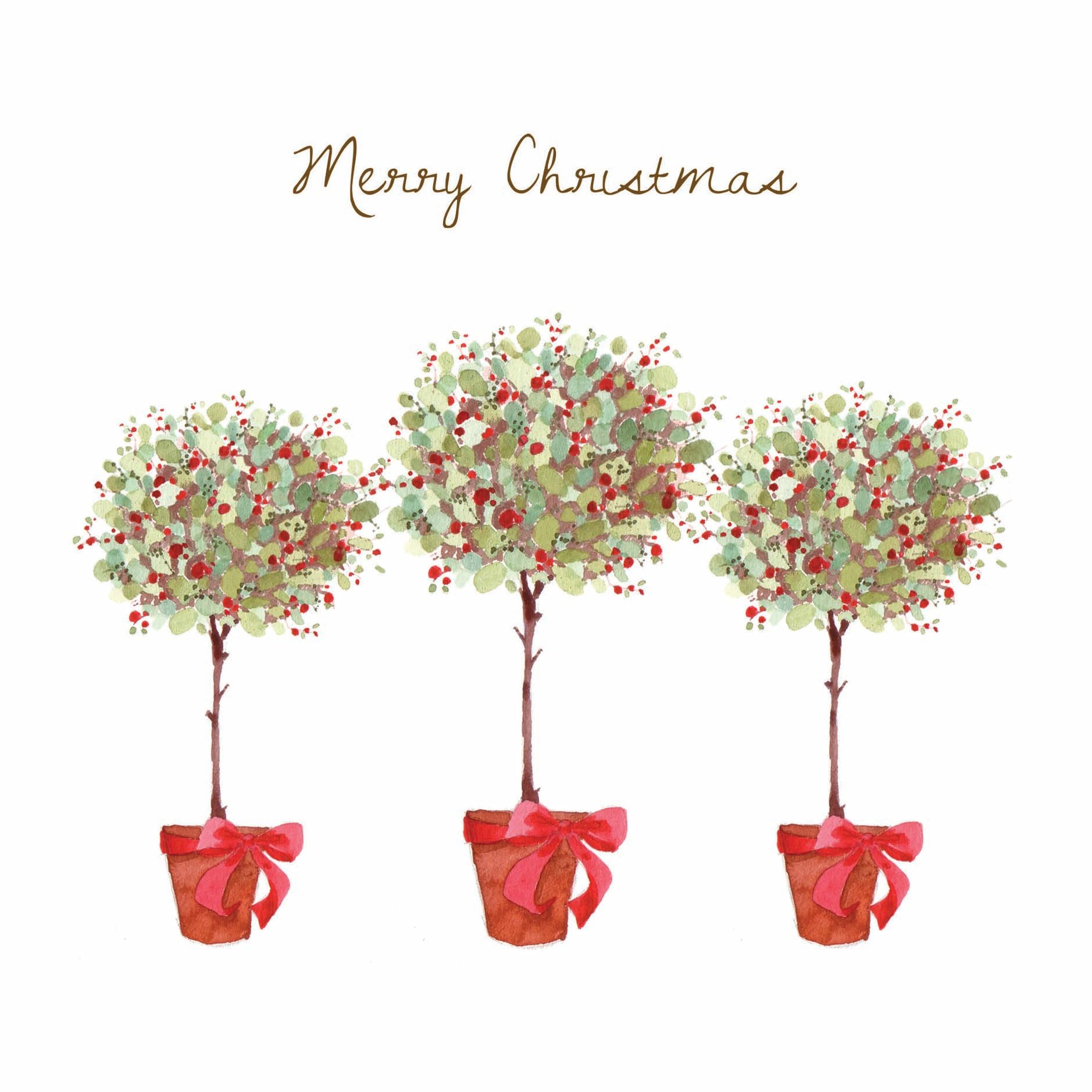 Three Potted Berry Trees Large Festive Christmas New Year Charity 10 Cards Pack