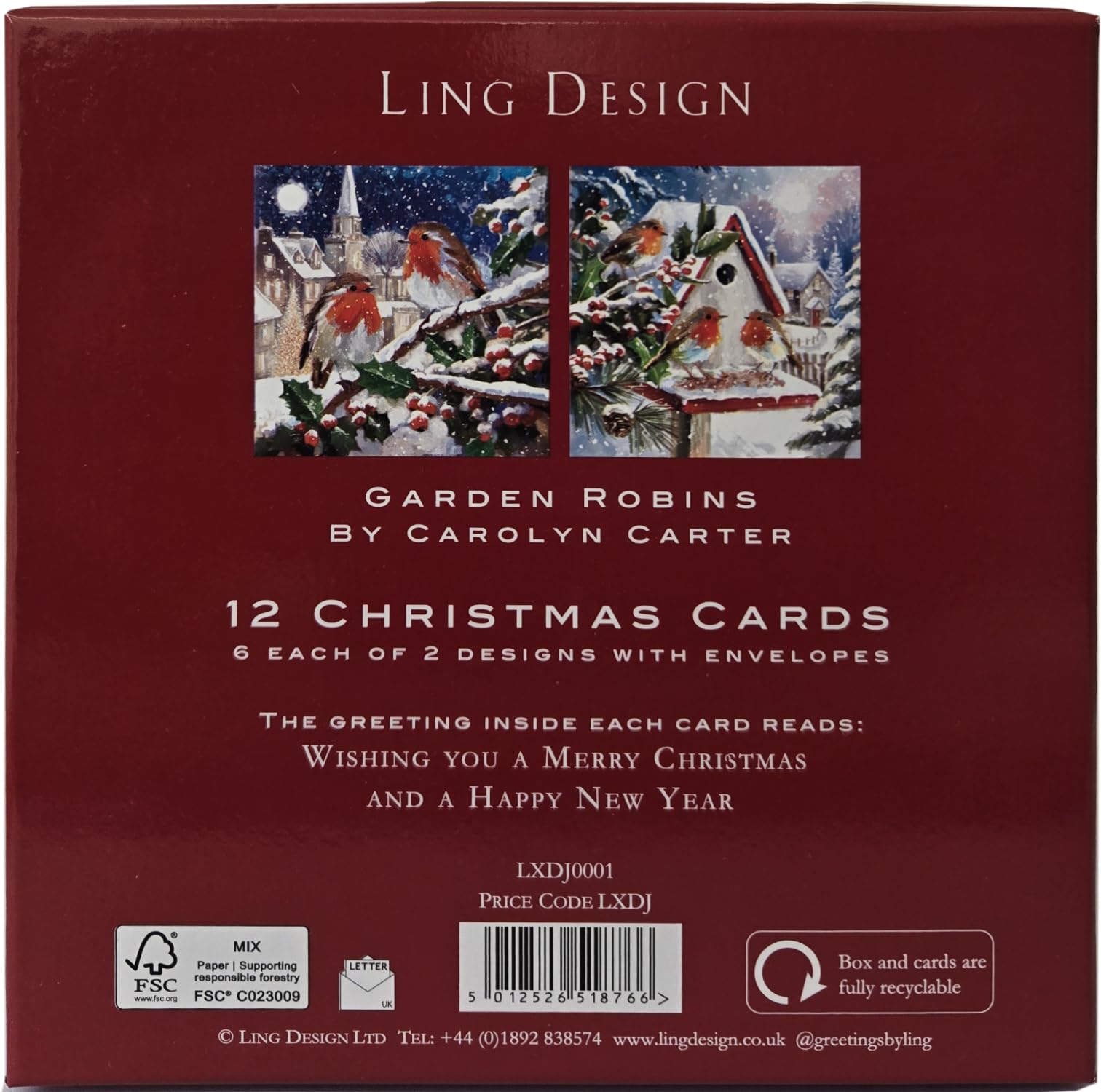 Red Breast Robins Festive Art Deluxe Box of 12 Christmas & New Year Cards - 135 x 135mm (5.5x5.5in) - Gloss Finish on Premium Board - Great British Card Company