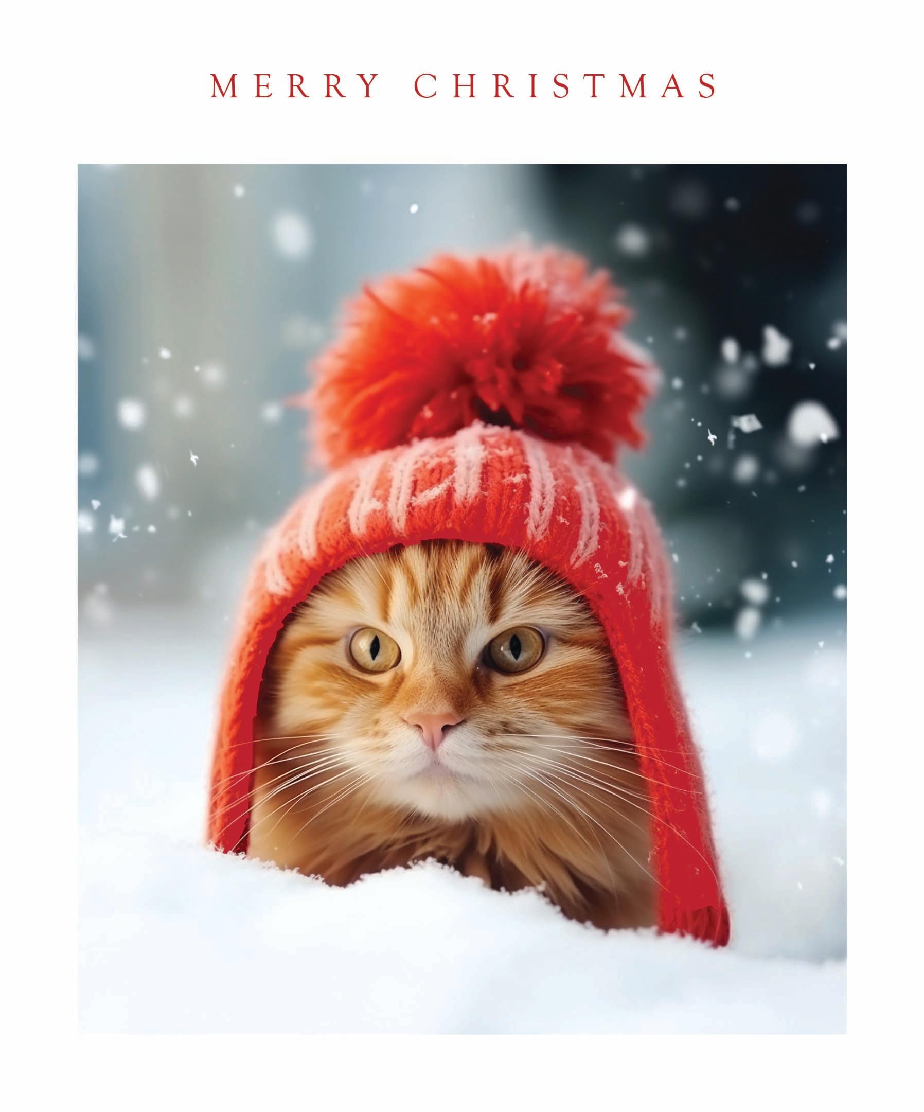 Festive Cute Animals Photographic Art Christmas & New Year Single Greeting Card - 185 x 155mm (7.2 x 6in) - Eco-Friendly & Recyclable