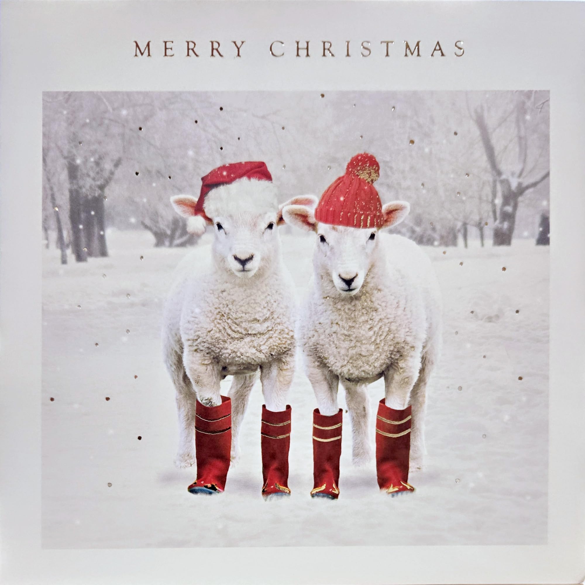 Festive Sheep in Woolly Hats - Pack of 5 Photo Effect Charity Christmas Cards