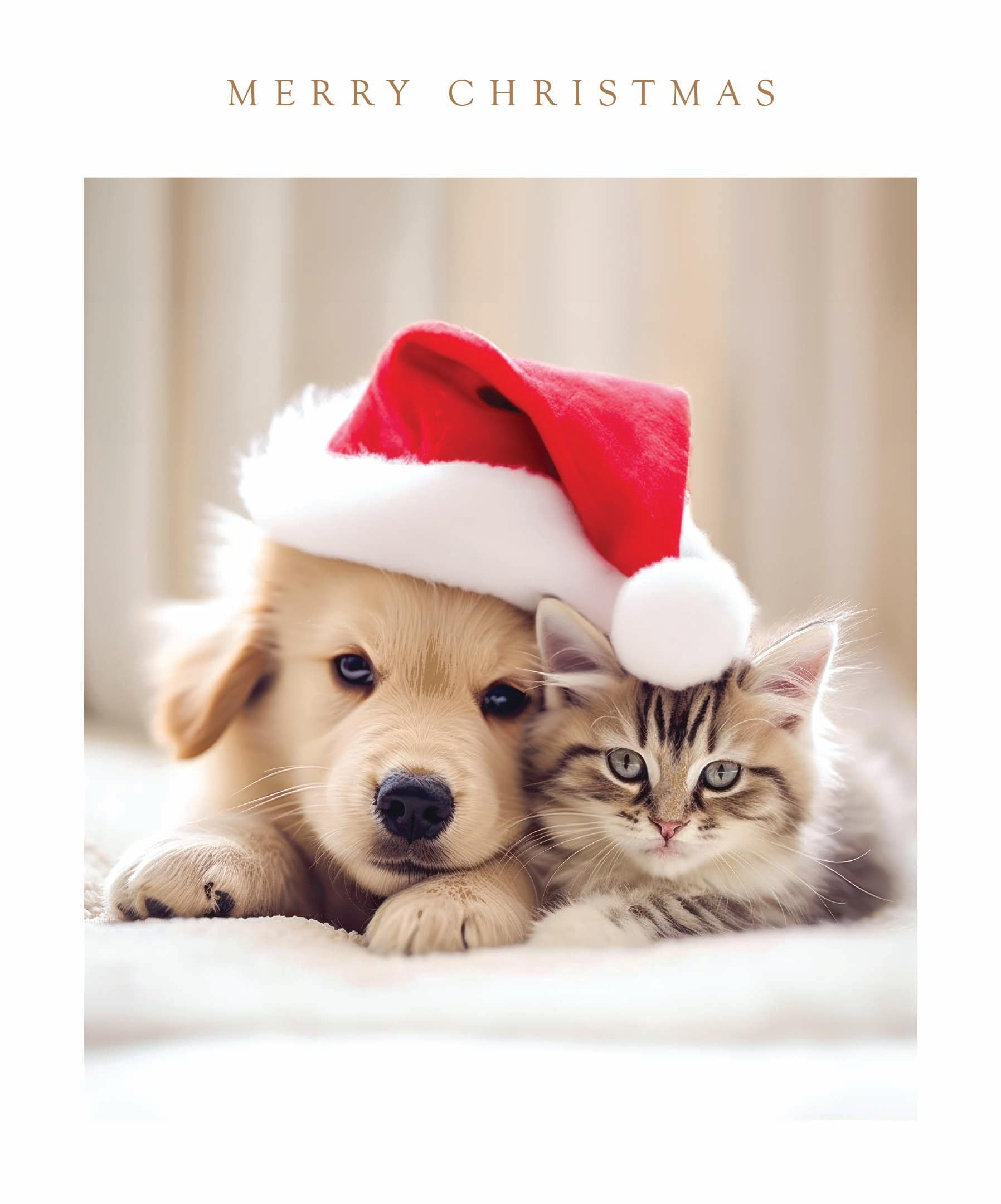 Festive Cute Animals Photographic Art Christmas & New Year Single Greeting Card - 185 x 155mm (7.2 x 6in) - Eco-Friendly & Recyclable