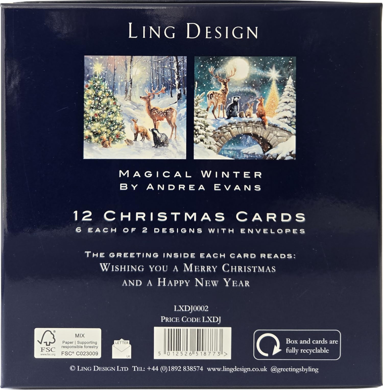 Magical Winter Forest Festive Art Deluxe Box of 12 Christmas & New Year Cards - 135 x 135mm (5.5x5.5in) - Gloss Finish on Premium Board by Ling Design