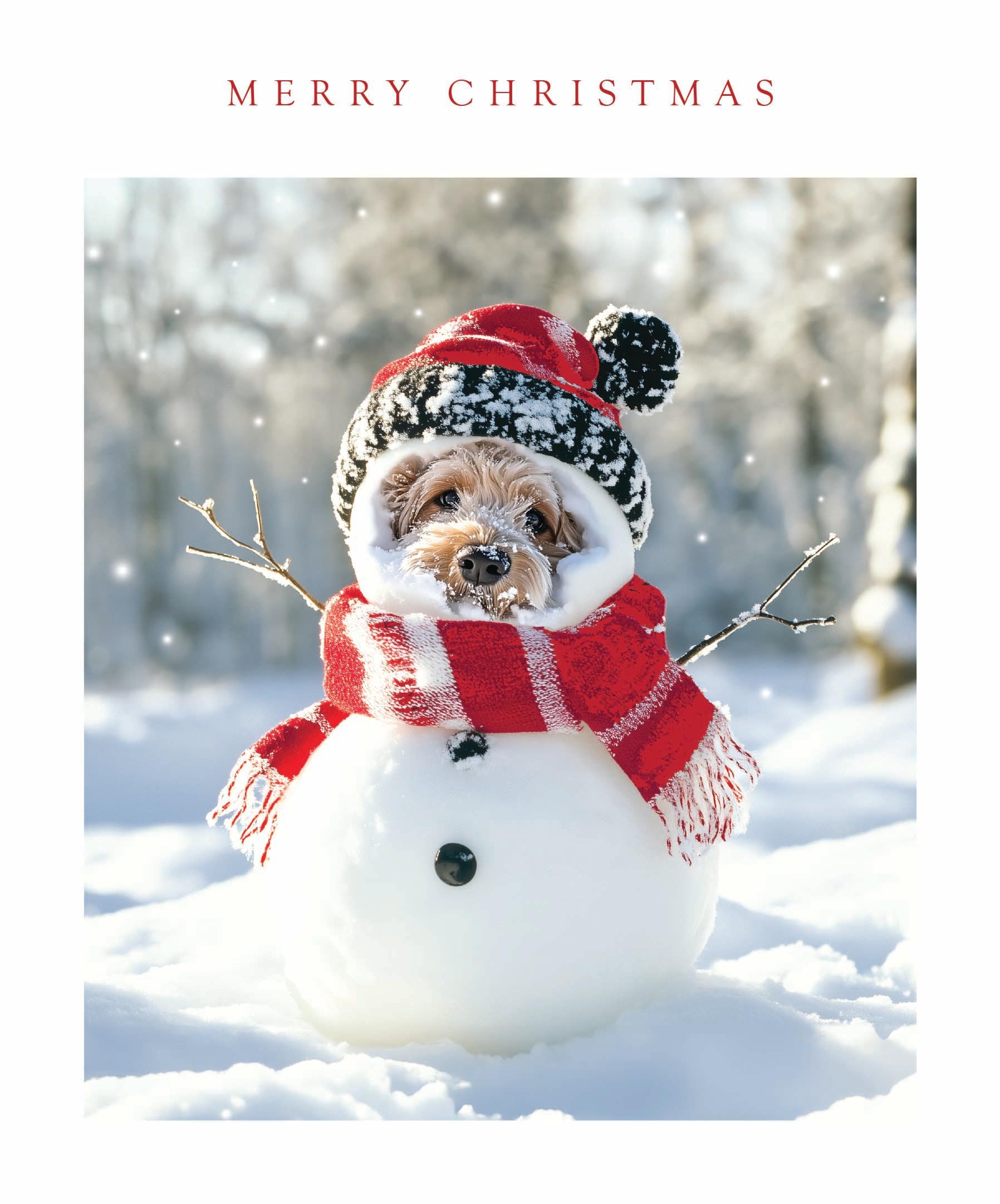 Festive Cute Animals Photographic Art Christmas & New Year Single Greeting Card - 185 x 155mm (7.2 x 6in) - Eco-Friendly & Recyclable