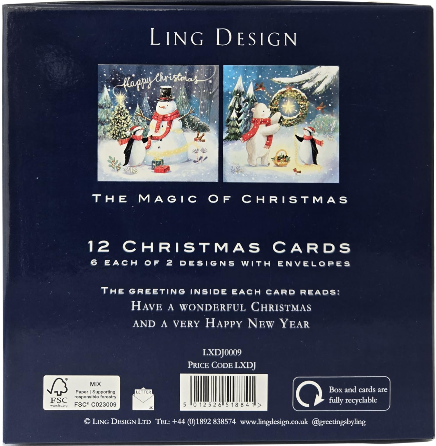 Magical Snowman & Penguin Festive Art Deluxe Box of 12 Christmas & New Year Cards - 135 x 135mm (5.5x5.5in) - Gloss Finish on Premium Board by Ling Design