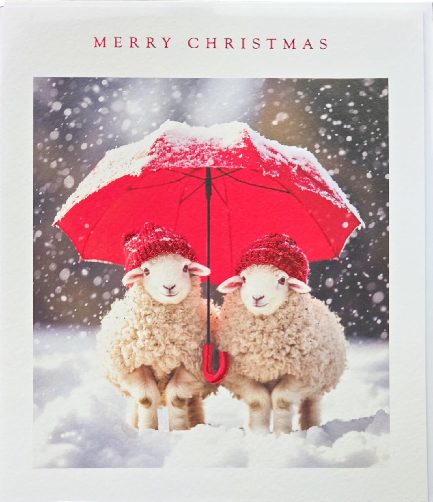Festive Cute Animals Photographic Art Christmas & New Year Single Greeting Card - 185 x 155mm (7.2 x 6in) - Eco-Friendly & Recyclable