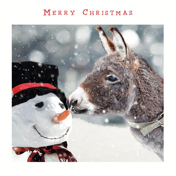 Festive Dressed Jolly Snowman & Donkey Photographic Charity Christmas 5 Card Pack - Red Foil Lettered Merry Christmas