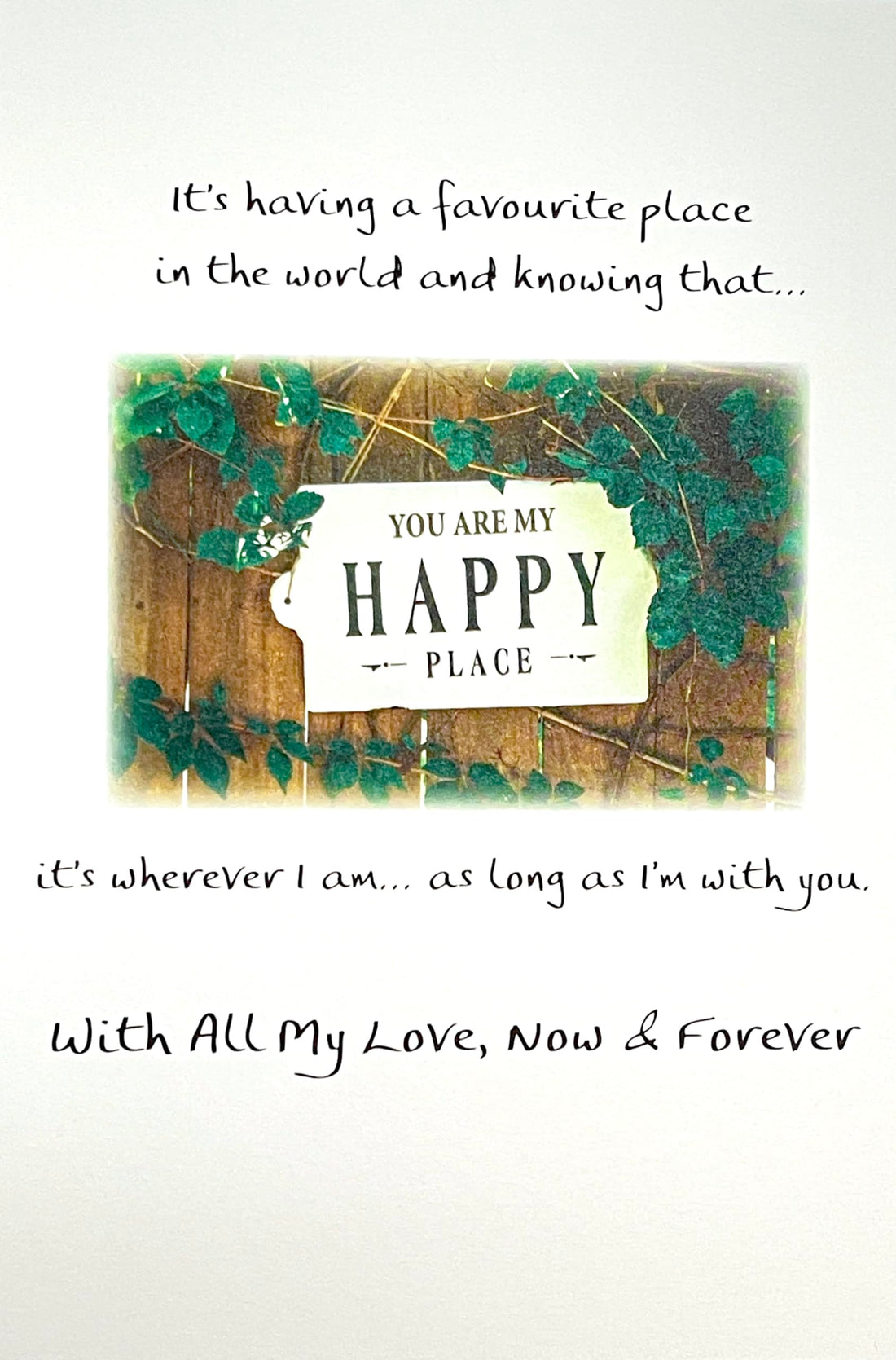 Why I Love You So Much - Pix & Pagels Heartfelt Sentimental Verses Greeting Card Fold Out Keepsake