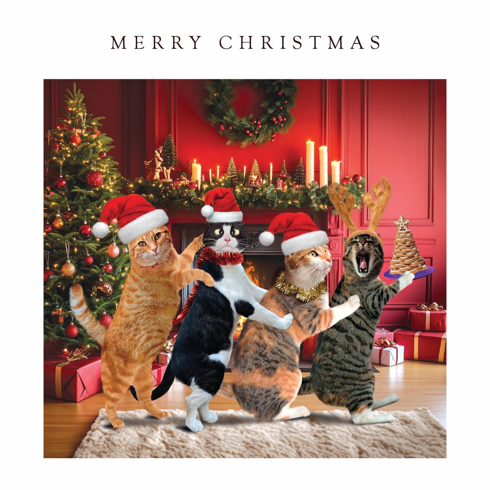 Festive Dancing Conga Cats in Santa Hats - 10 Large Charity Christmas Cards Pack
