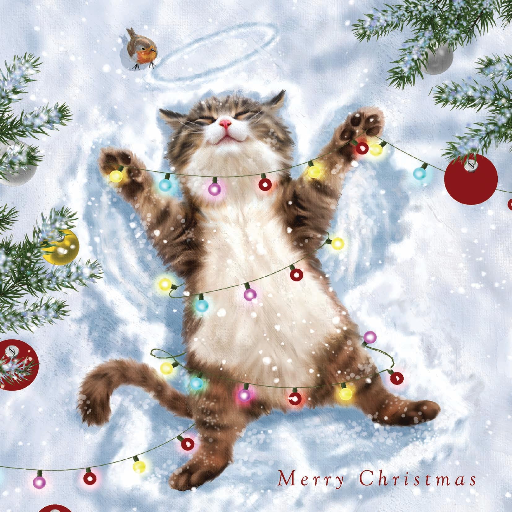 Playful Kitten with Robin - Pack of 5 Cute Cat Charity Christmas & Happy New Year Cards