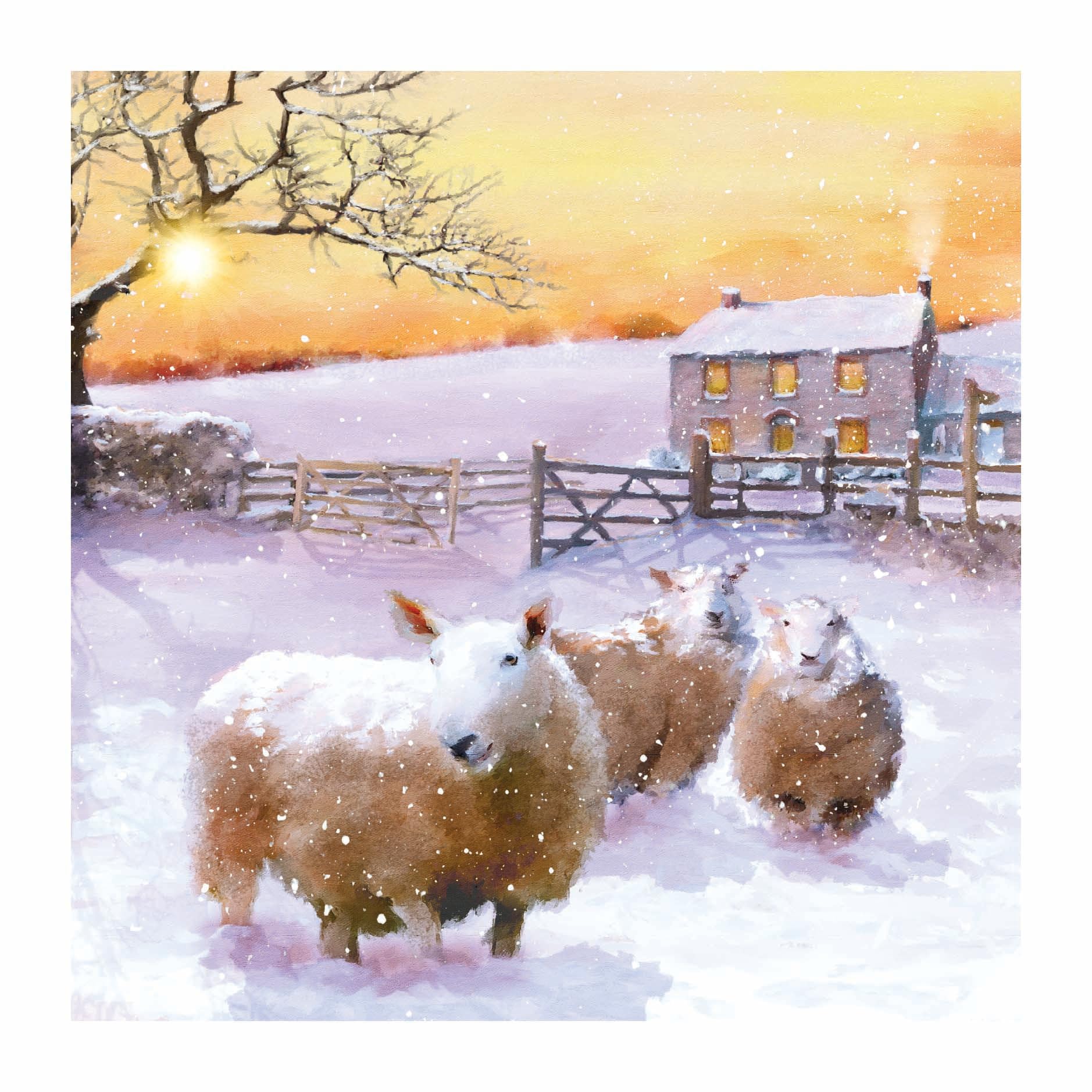 Sheep Flock in Snow Pack of 10 Large Festive Charity Christmas & New Year Cards