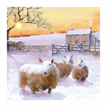 Sheep Flock in Snow Pack of 10 Large Festive Charity Christmas & New Year Cards