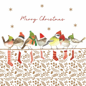 Festive Birds in Woolly Hats - Pack of 5 Photo Effect Charity Christmas & Happy New Year Cards with Envelopes
