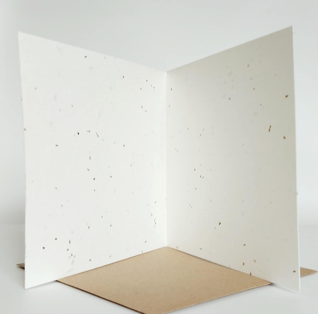 Bee and Flowers Eco Friendly Love Country Blank Seed Card & Gift in One by Sarah Reilly