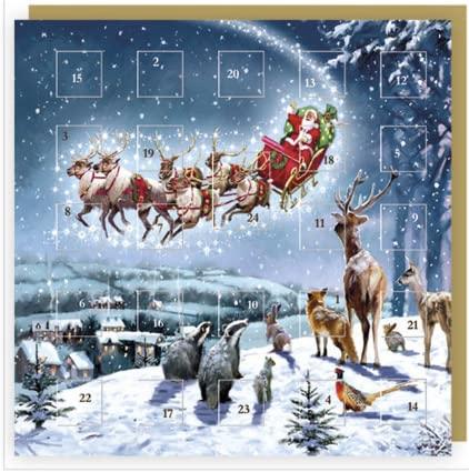 Animals Watching Magical Santa Sleigh Christmas Countdown Advent Calendar Card (Without Filling)